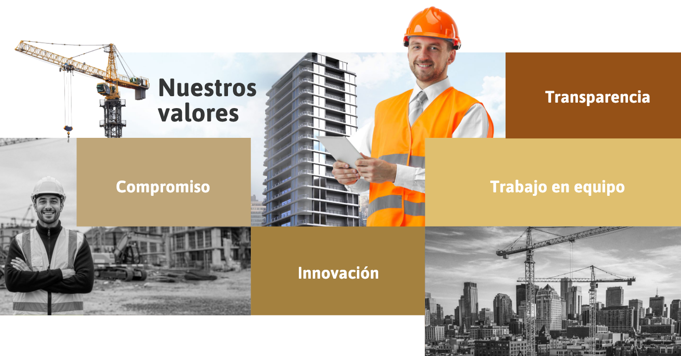 consultoria y capacotacion